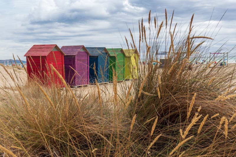 Colorful changing houses through yellow grass stalks