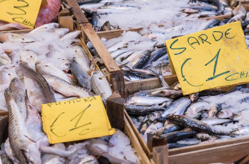 Colorful choice of fish at traditional market in Palermo, Sicily. Price, nutrition.