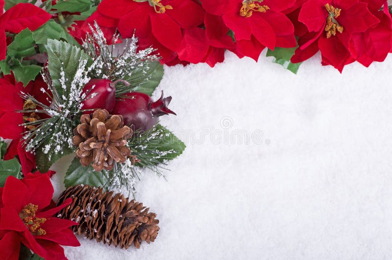 Colorful Christmas Border