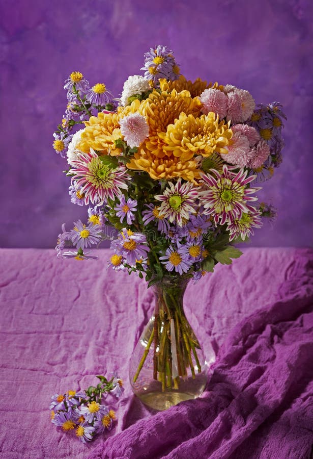 Violet Chrysanthemums Bunch Stock Image Image of chrysanthemum