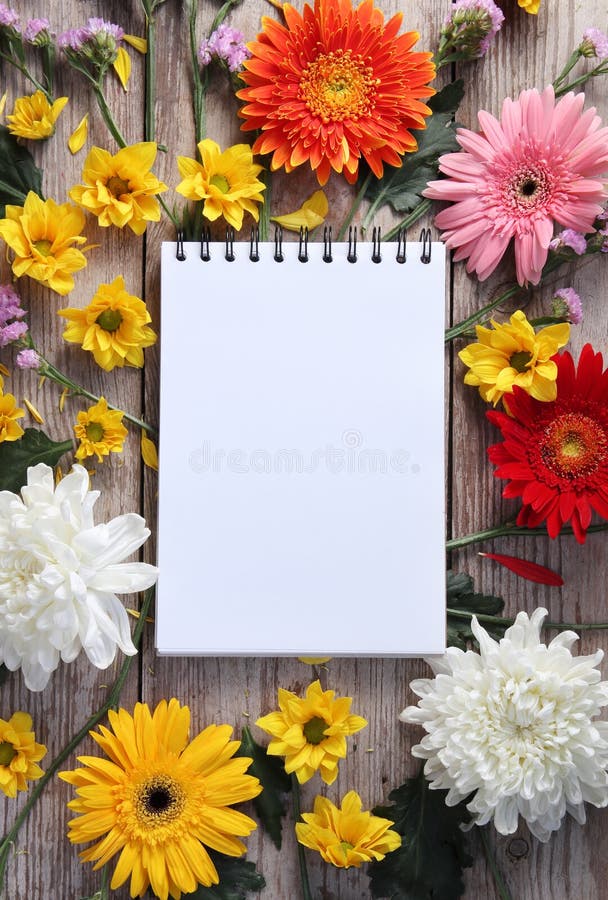 Colorful chrysanthemums placed on the table old wooden with book diary stock image Colorful chrysanthemums placed on the table old wooden with book diary stock image