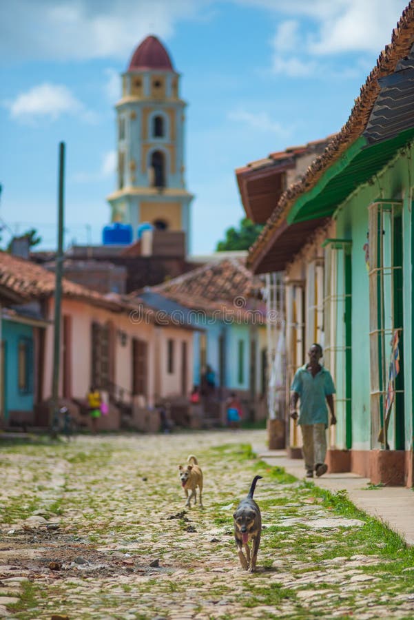 Colorful Colonial Caribbean historic town with beautiful cobblestone street and cute dog, Cuba, America. royalty free stock photography Colorful Colonial Caribbean historic town with beautiful cobblestone street and cute dog, Cuba, America. royalty free stock photography