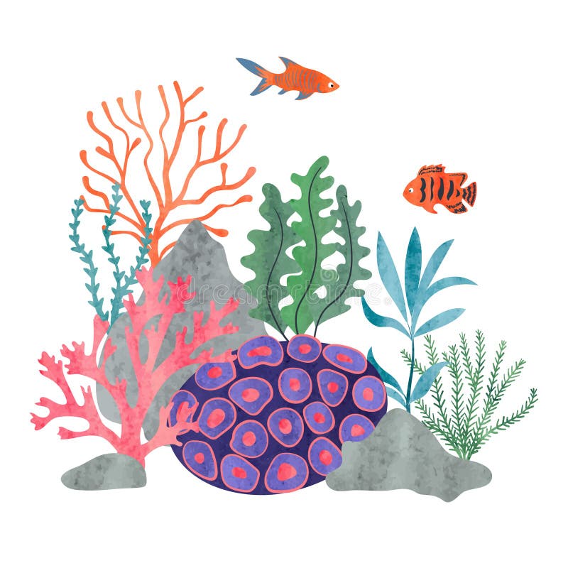 Sea reef scene stock vector. Illustration of colored - 82653642