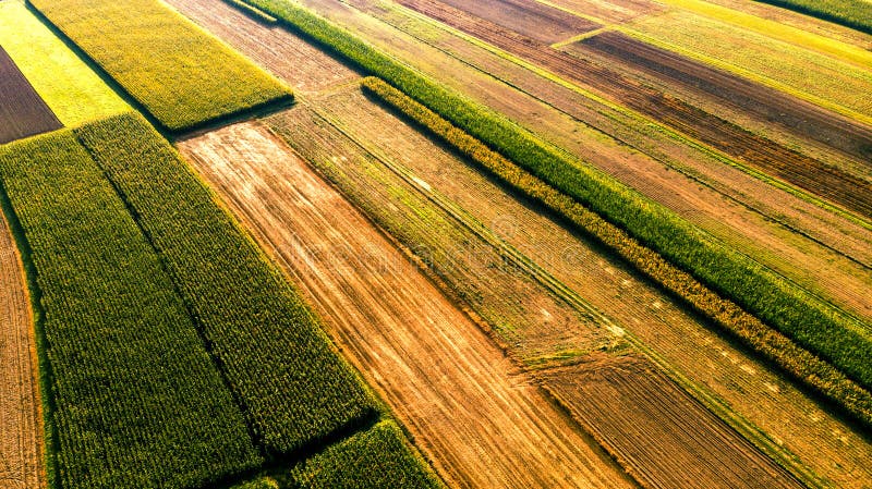 Colorful Countryside Farm Fields. Cultivated Soil with Crops. Aerial Drone View