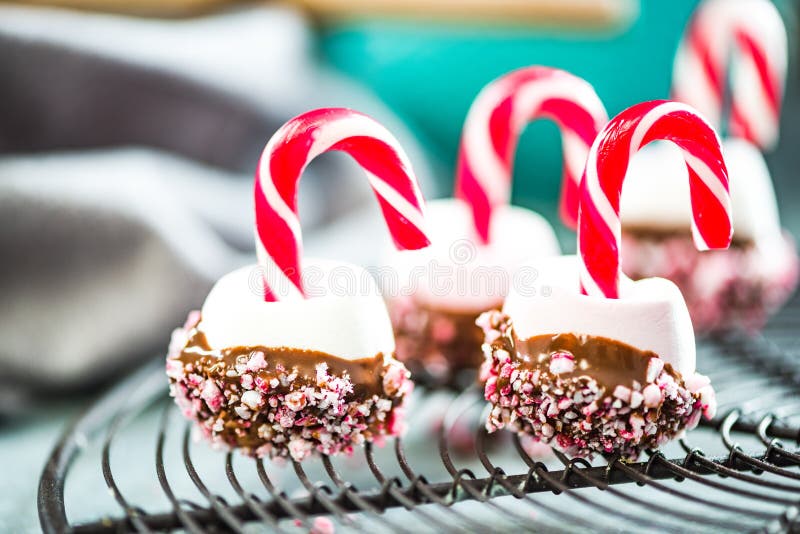 Colorful and creative festive Christmas sweets stock image Colorful and creative festive Christmas sweets stock image