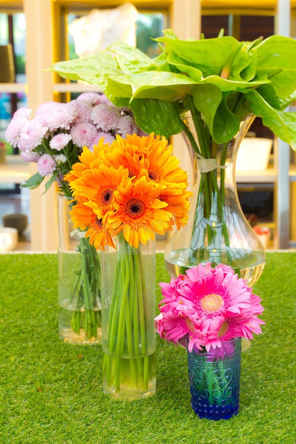 Colorful Daisy Flower in Vase Stock Photo Image of arrangement