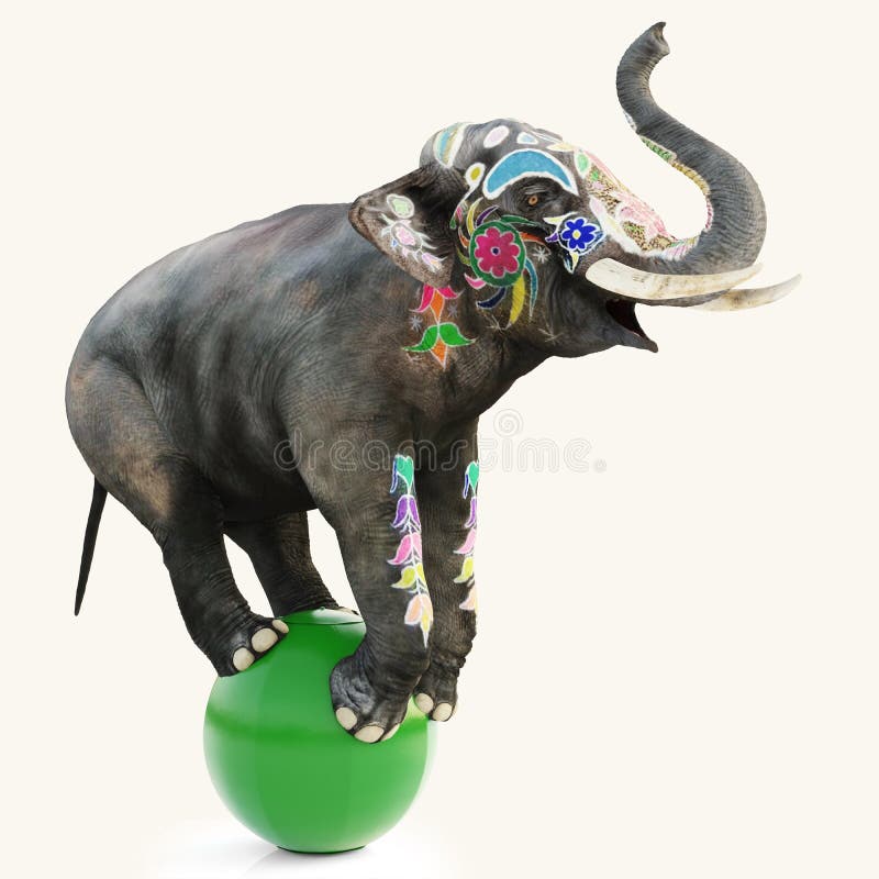 Colorful decorated artistic circus elephant doing a balancing act on a green ball with a isolated white background.