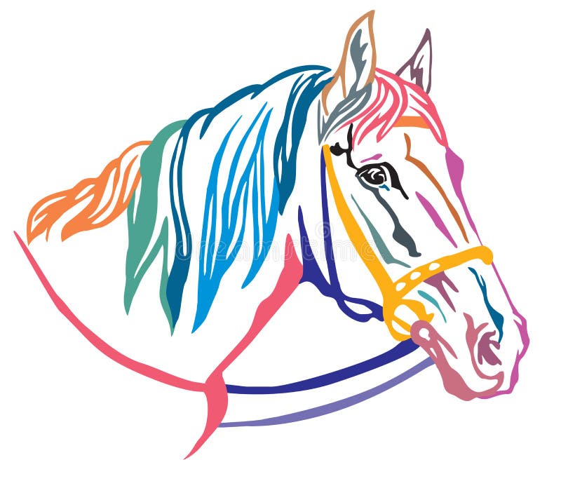 Colorful decorative portrait of horse vector illustration 5 vector illustration Colorful decorative portrait of horse vector illustration 5 vector illustration
