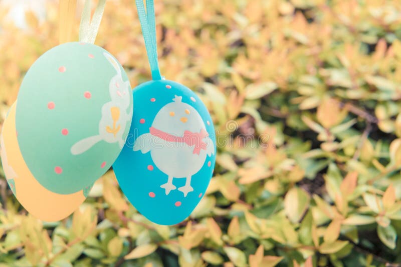 Colorful easter eggs hanging on the tree, ready for the egg hunter traditional stock photos Colorful easter eggs hanging on the tree, ready for the egg hunter traditional stock photos