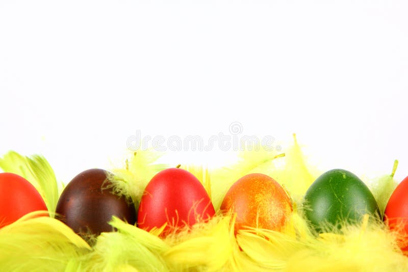 Colorful eggs