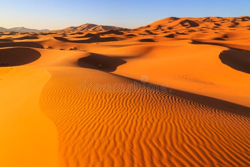 Colorful evening sun light shining on the sand dunes of the Erg