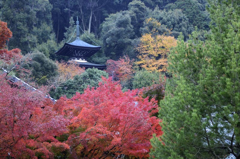 Colorful Fall Color Leaves In Eikando Zenrinji Gardens In Kyoto