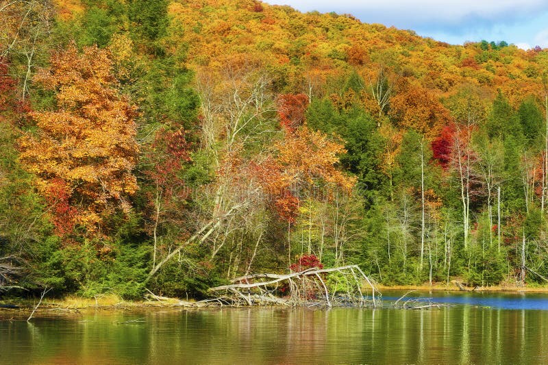 Autumn Colors Along the Shore of Bays Mountain Lake Stock Photo - Image