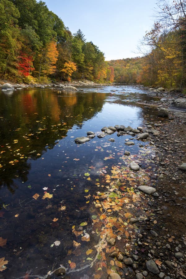 Colorful fall foliage along the Farmington River in Canton, Conn