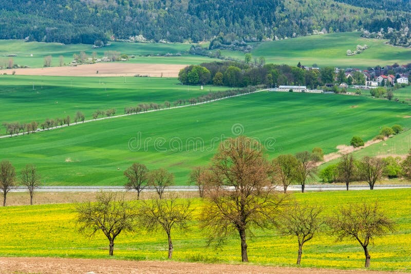 Colorful farm fields landscape