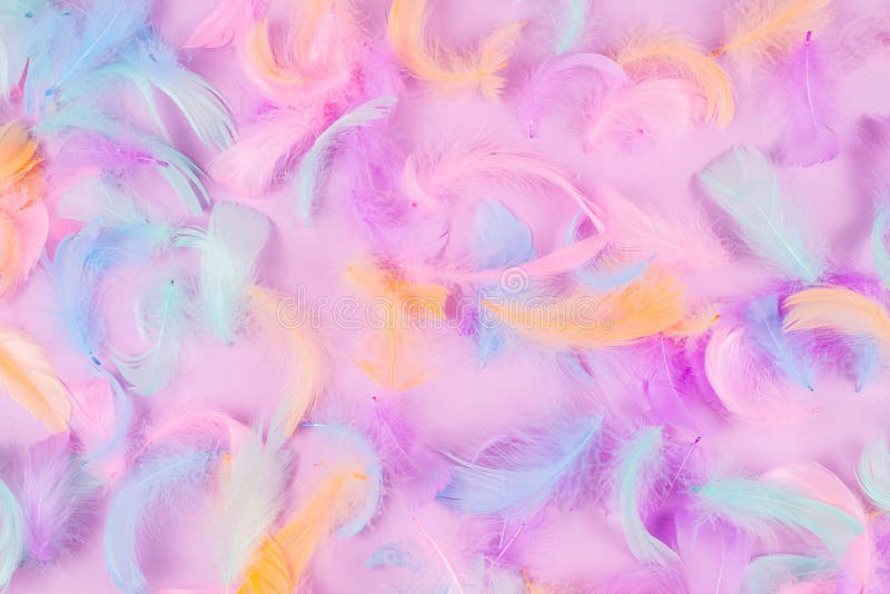 Colorful Feather Background Stock Photo - Image of bird, abstract ...