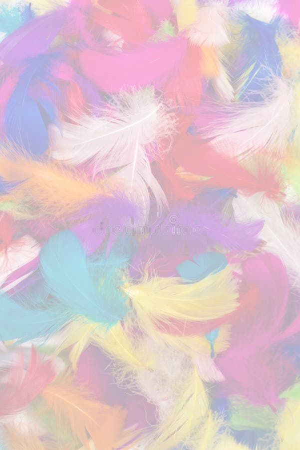 Colorful Feather Background Stock Image - Image of nature, imagination ...