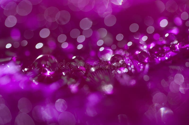 Colorful feather surface with water droplets and bokeh