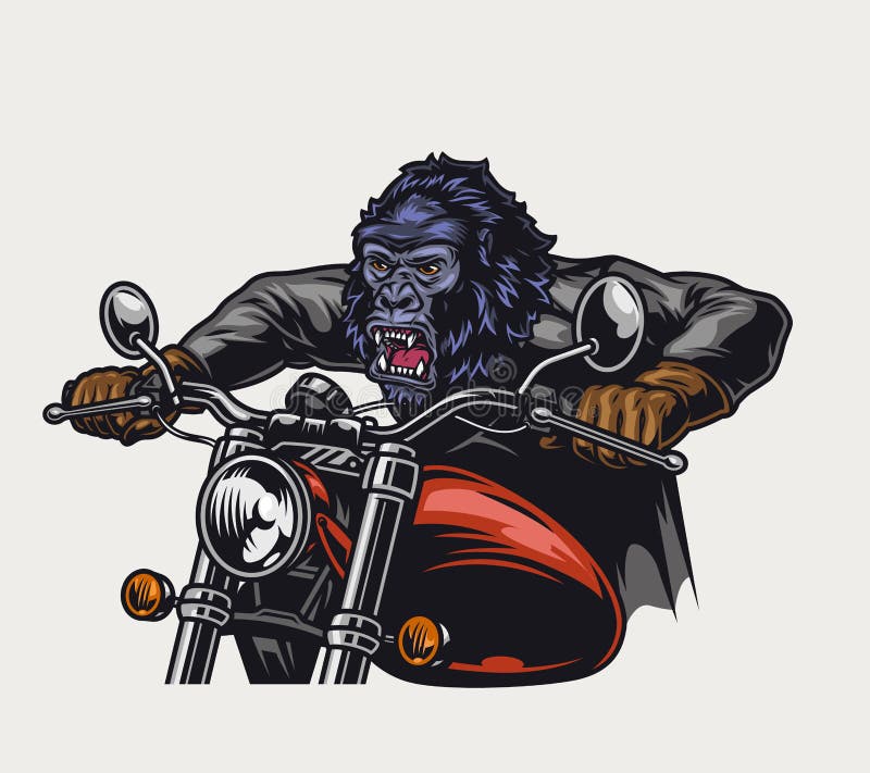 Colorful Ferocious Gorilla Head Moto Rider Stock Vector - Illustration ...