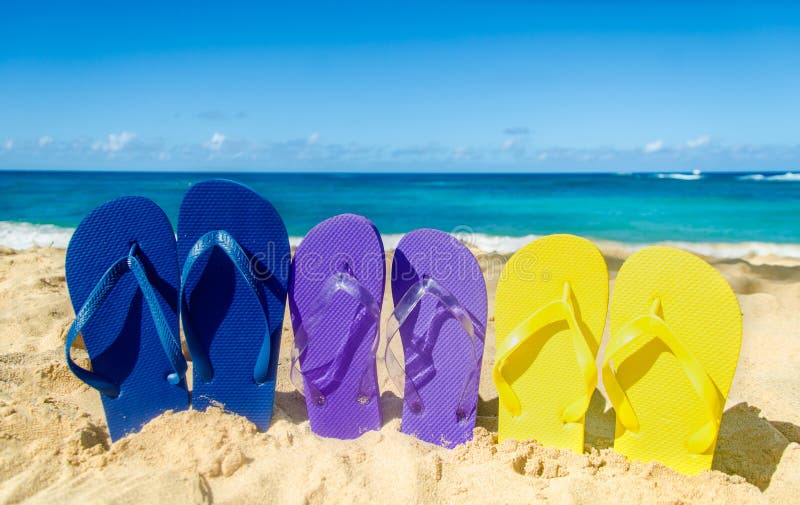 Premium PSD | Colored beach flip flops without background