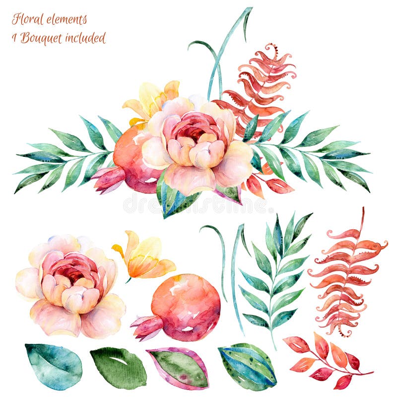 Colorful Floral set. Colorful white-purple floral collection with leaves and roses, drawing watercolor. royalty free illustration Colorful Floral set. Colorful white-purple floral collection with leaves and roses, drawing watercolor. royalty free illustration