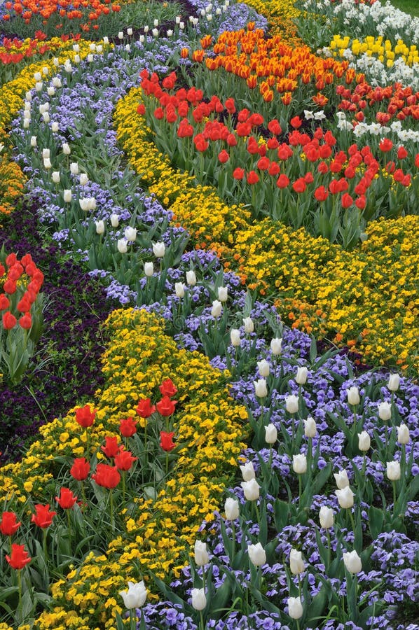 Colorful flower bed stock image. Image of spring, plants - 14383137