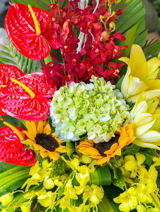 Colorful flower bouquet stock photo. Image of garden 57753354