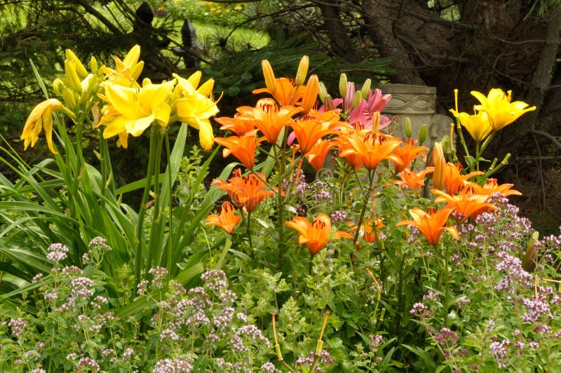 Colorful Flower Garden with Budha Statue