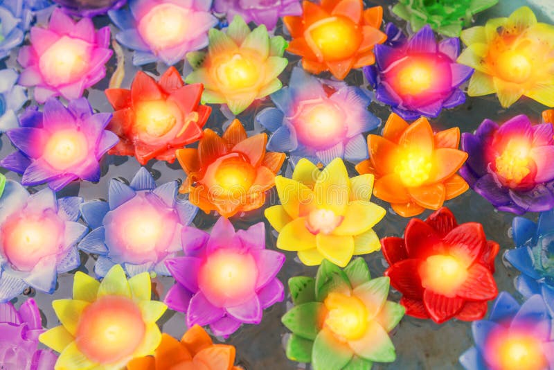 Colorful Flower Light Candle Float in the Water Stock Photo Image of