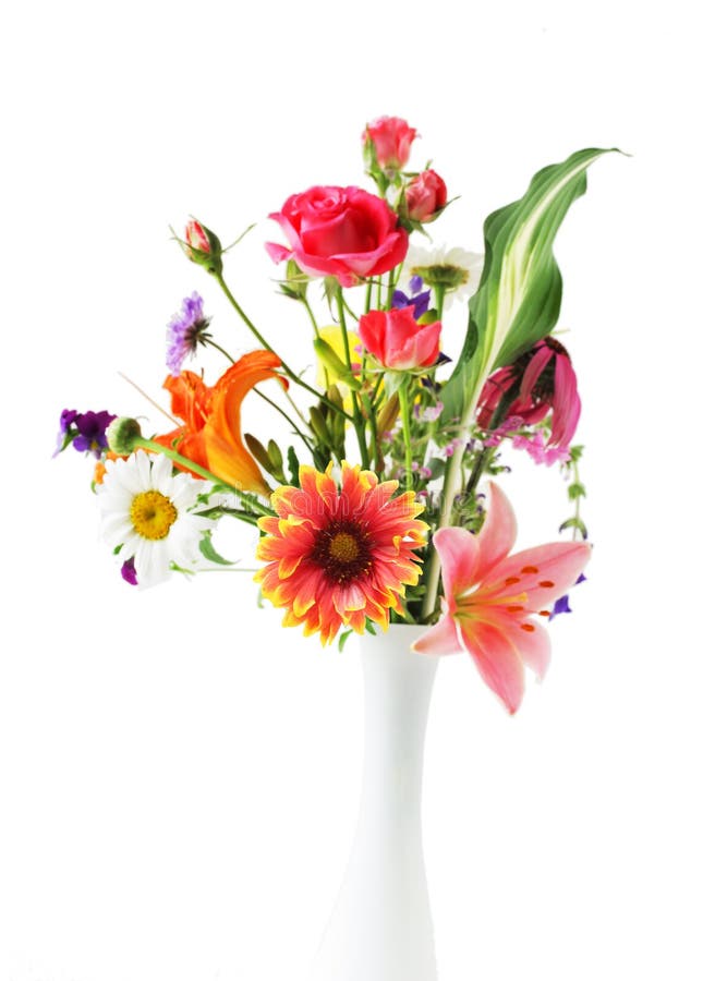 Pink Snapdragon Flowers Under Blue Sky Stock Photo Image of fragrance