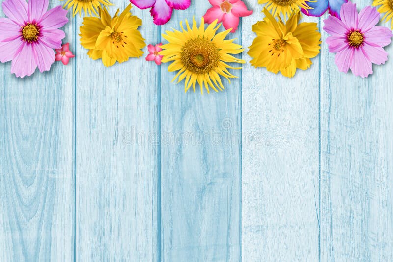 Colorful Flowers on Blue Wood Background Stock Image - Image of flower,  floral: 169562657