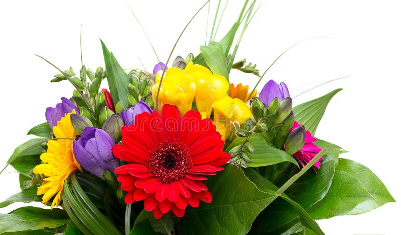 Colorful flowers bouquet isolated stock images