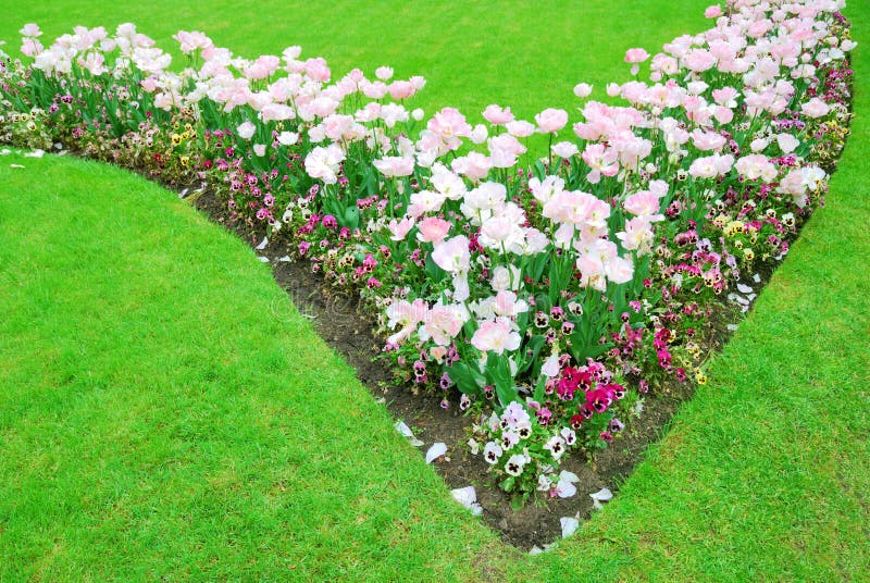 Colorful flowers and green grass in spring