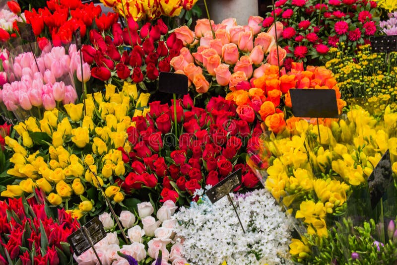 Colorful Street Flowers Osaka Japan Travel Stock Photo - Image of ...