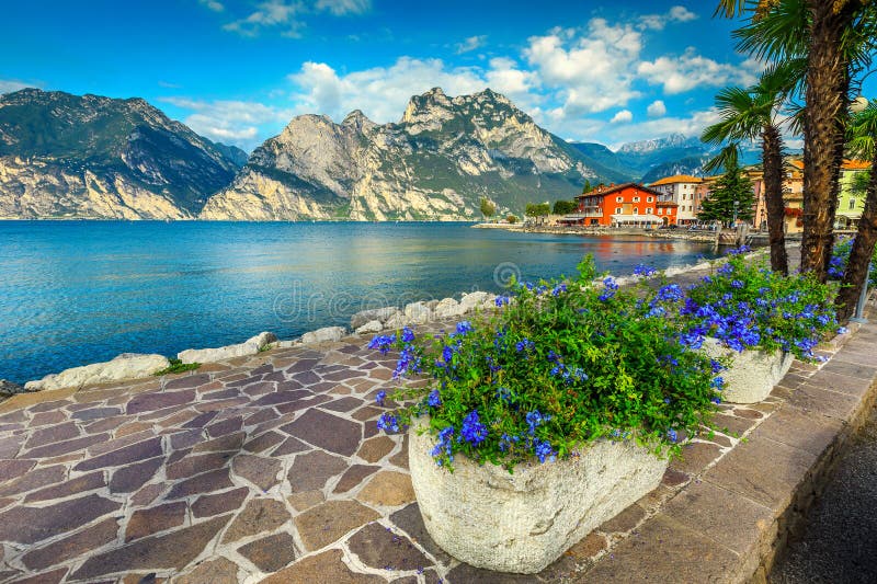 Colorful flowers and spectacular promenade, lake Garda, Torbole, Italy, Europe. Breathtaking promenade decorated with colorful mediterranean flowers. Wonderful stock photography Colorful flowers and spectacular promenade, lake Garda, Torbole, Italy, Europe. Breathtaking promenade decorated with colorful mediterranean flowers. Wonderful stock photography