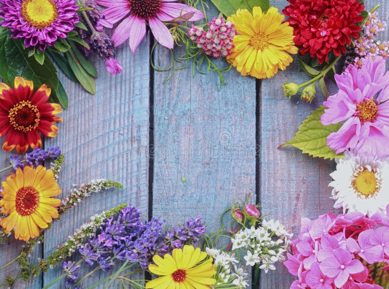 Colorful frame of fresh summer flowers