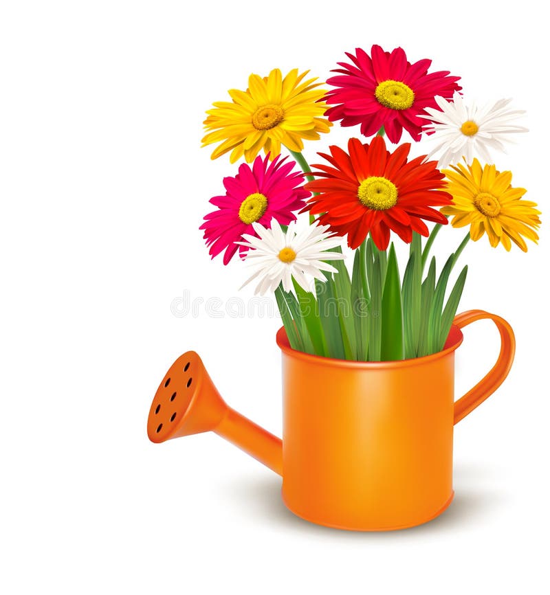 Colorful fresh spring flowers in orange watering c vector illustration