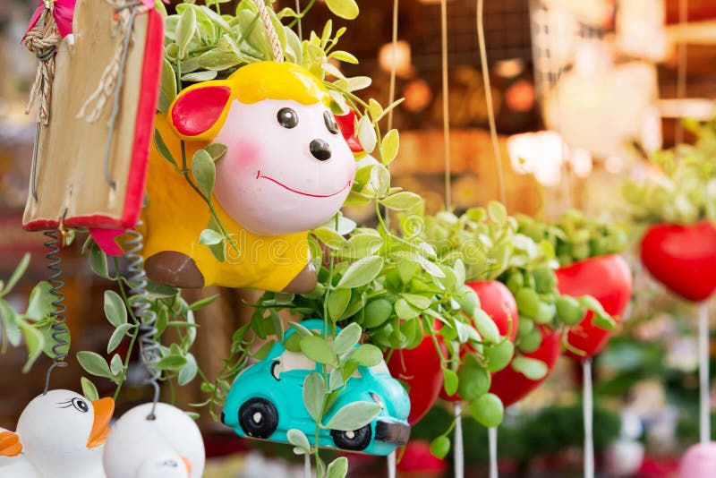 Colorful Hanging Flower Pot Stock Image Image of decoration