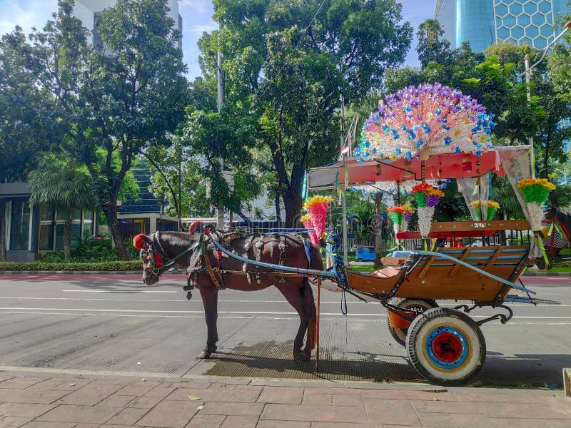 Colorful Horse Cart on the Sunny City Street obraz royalty free