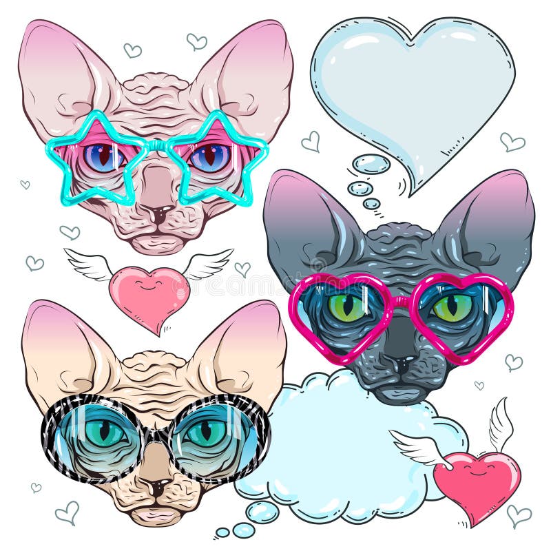 Colorful icons, cat in trendy glasses and a cat with sunglasses