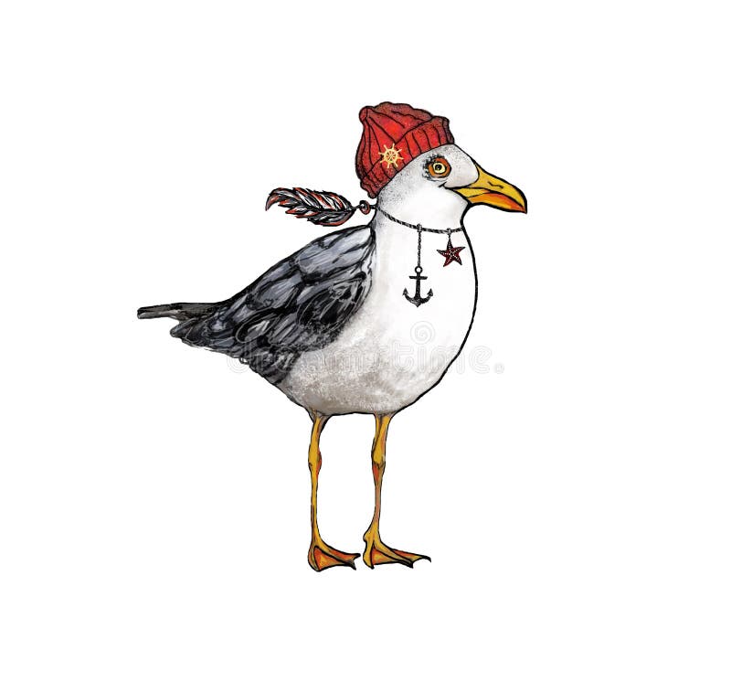 Seagull.Cute hand-drawn seagull in a red cap with a feather ,a star and an anchor on a neck.
