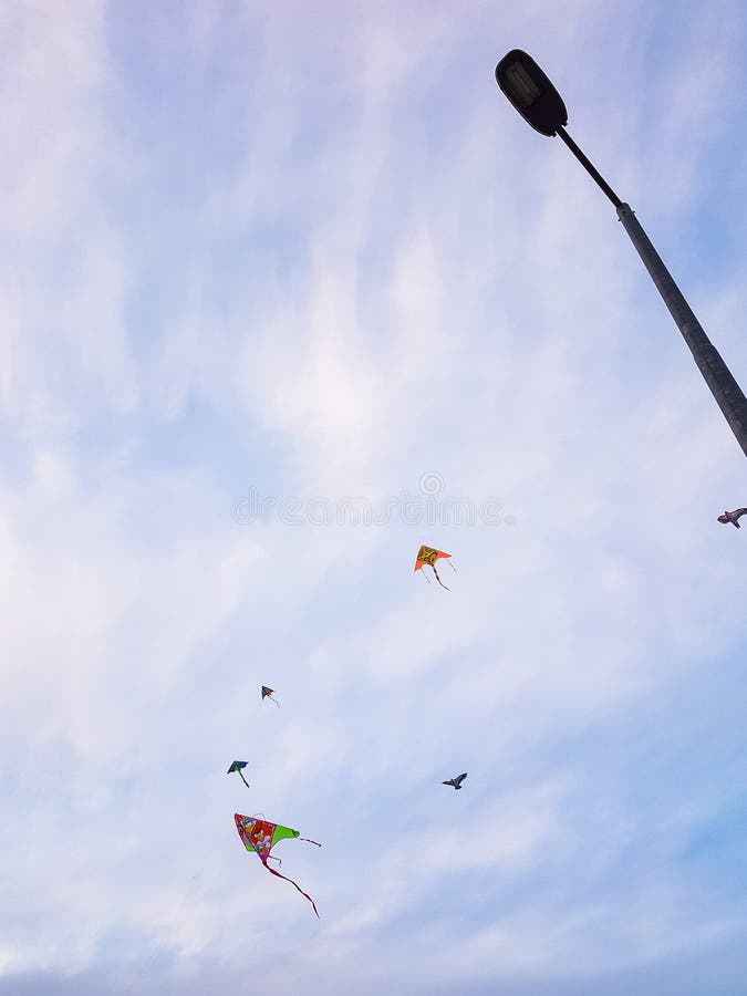 Colorful Kites Flying Above Trees on Green Monday, Athens, Greece Stock