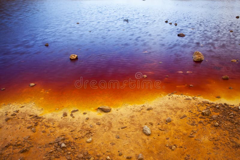 Colorful lake shore