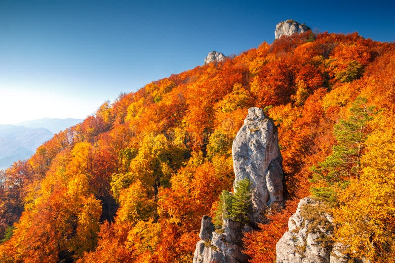 Colorful landscape in autumn