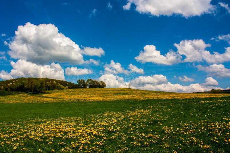 Colorful Landscape