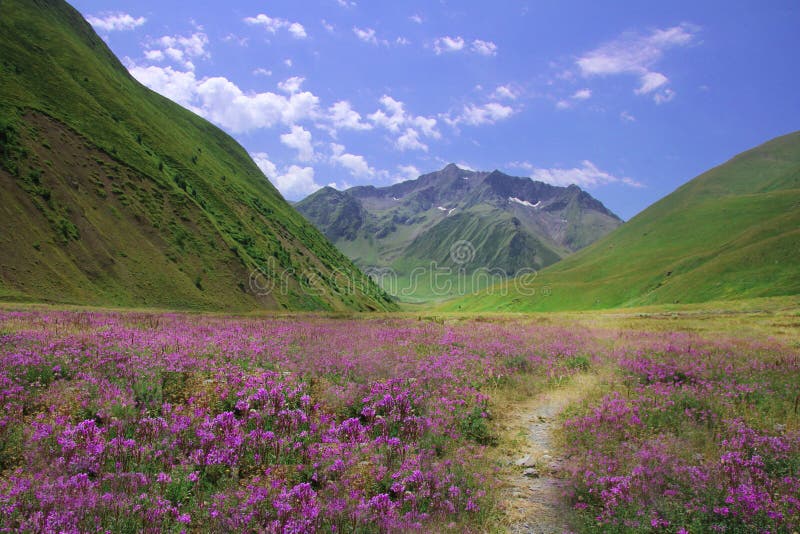 Colorful landscape in Georgia