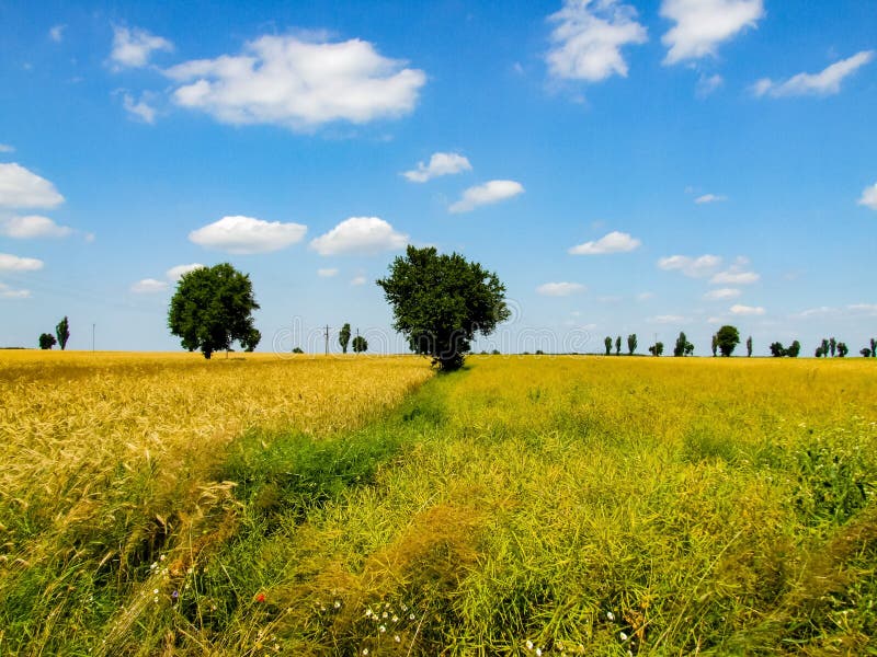 Ukrainian Landscape of Sky and Meadows. Stock Image - Image of crop ...