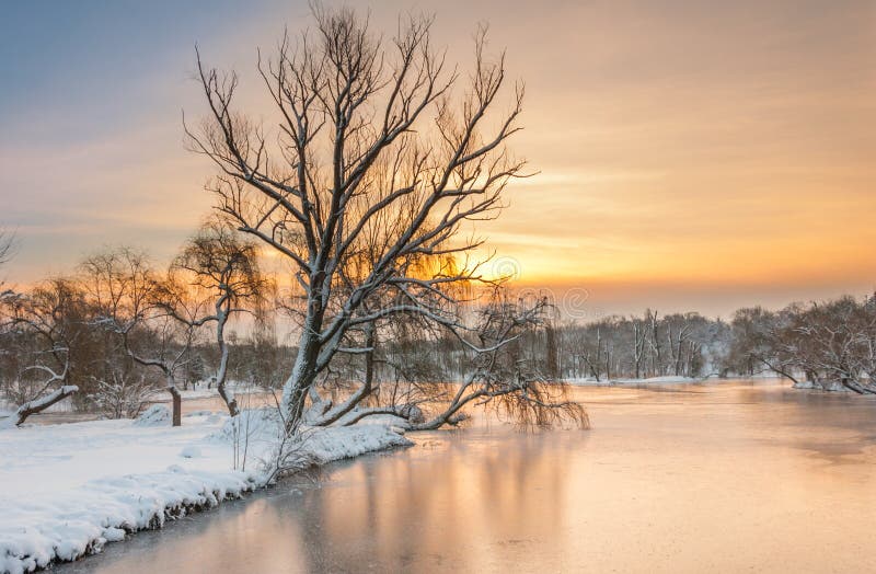 Colorful landscape at the winter sunrise in park royalty free stock photography Colorful landscape at the winter sunrise in park royalty free stock photography