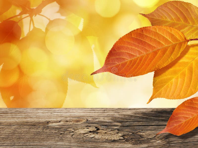 Colorful Leaves In Autumn On Golden Leaves Background With Wooden Table