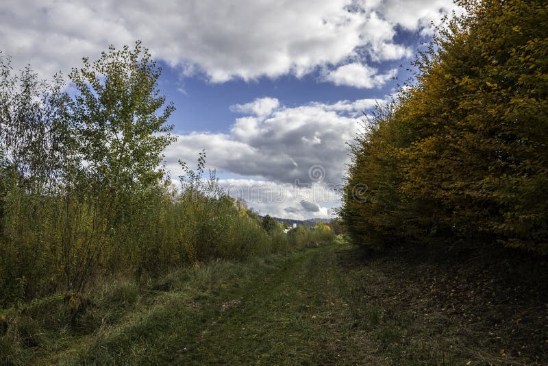 Colorful leaves, green meadows, and the cloudy blue sky royalty free stock photo